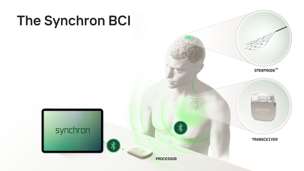synchron bci system