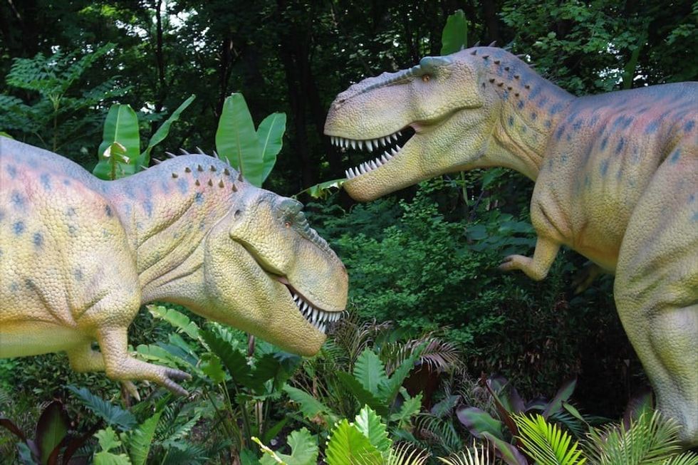 t rex dinosaur safari dino don