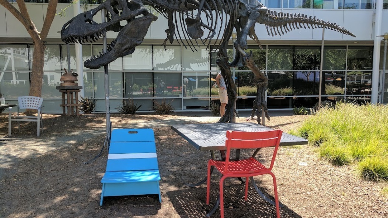 t rex skeleton at google office