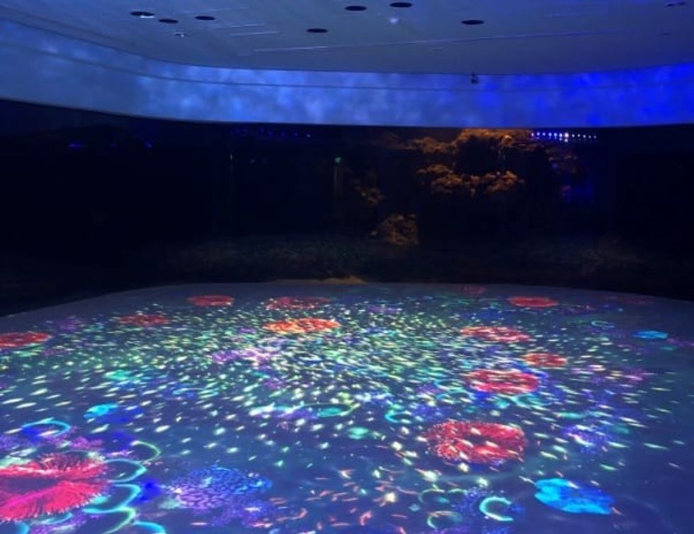 Taiwan Xpark Aquarium