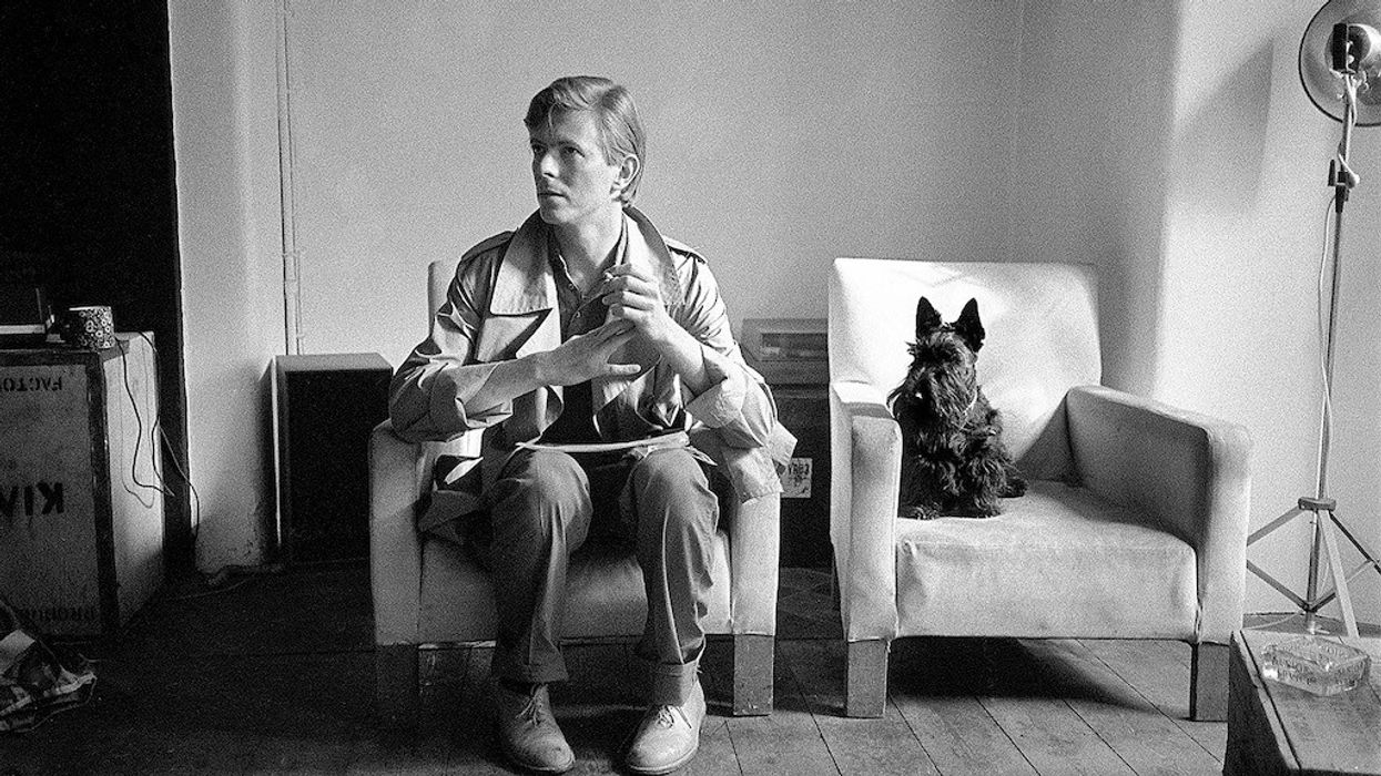 TAKEN Bowie Duffy exhibition