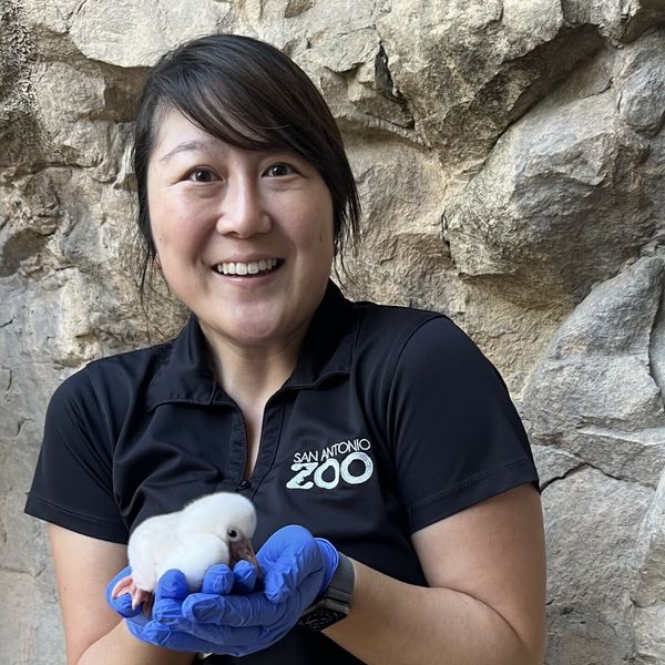 Tamara Kruse Headshot