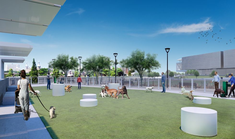 tampa museum of art expansion