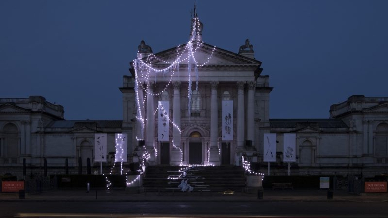 tate britain anne hardy