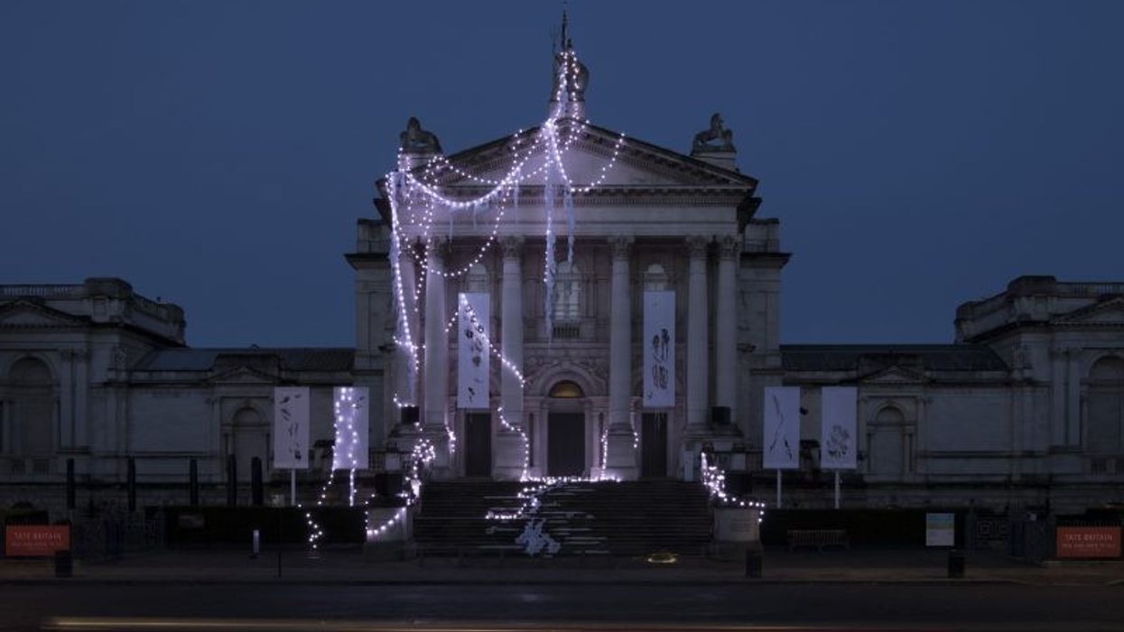tate britain anne hardy