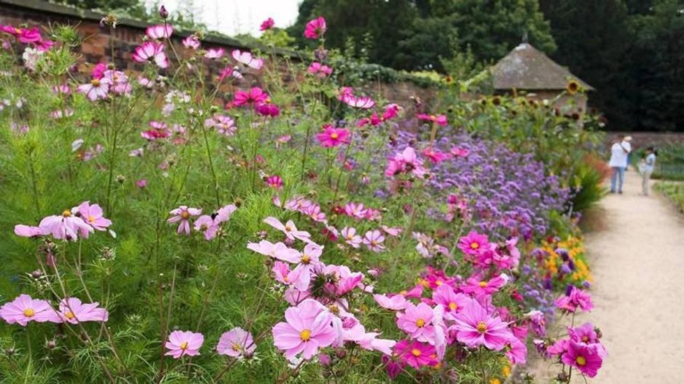 tatton park flower garden