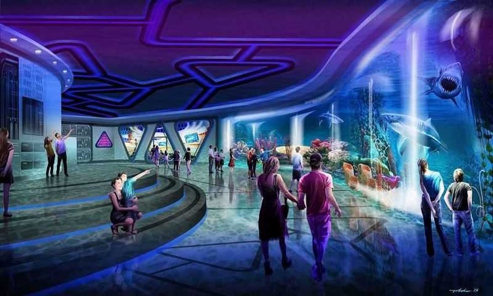 Taylor Jeffs shark interior blue room people shanghai haichang ocean park