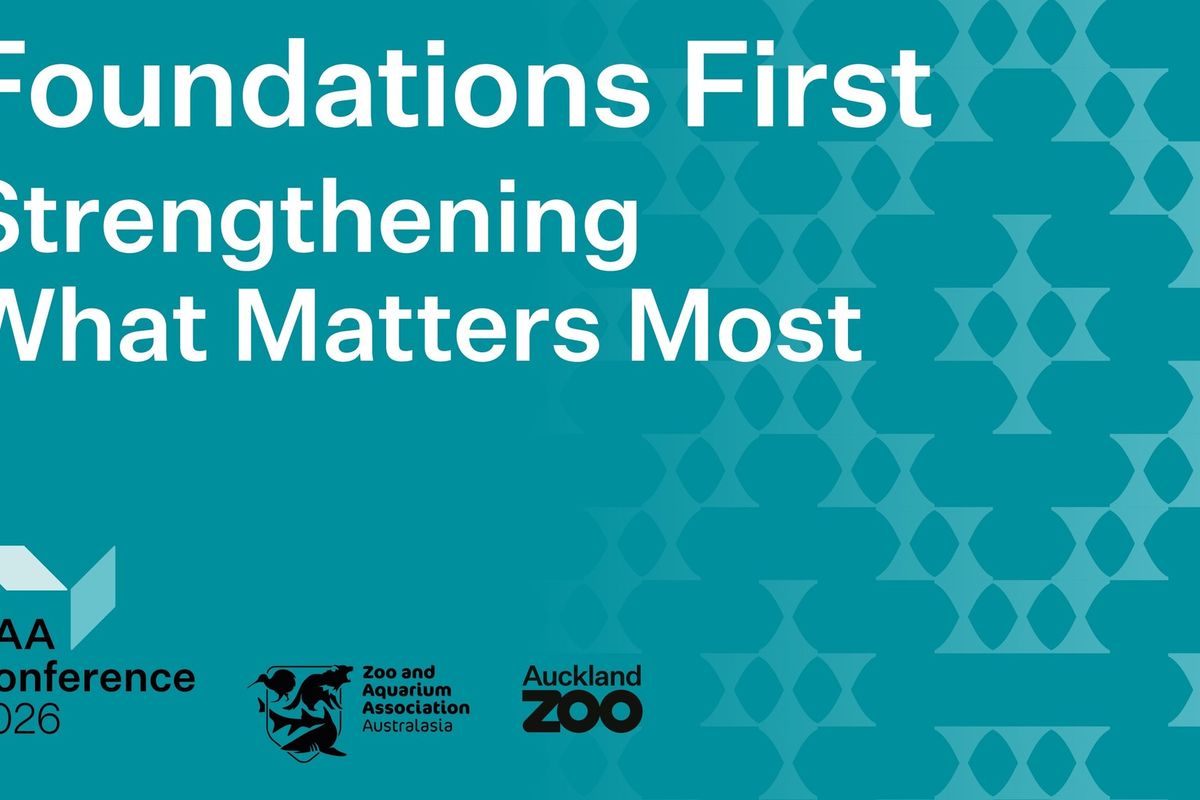 Teal ZAA Conference 2026 poster with abstract pattern and text: "Foundations First. Strengthening what matters most.""
