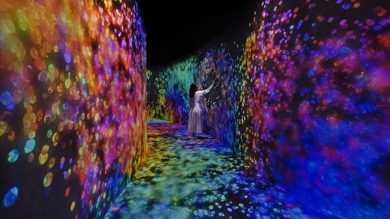 teamlab abu dhabi
