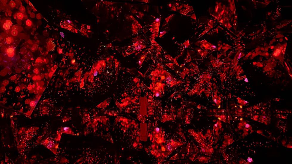 teamlab borderless flowers and people