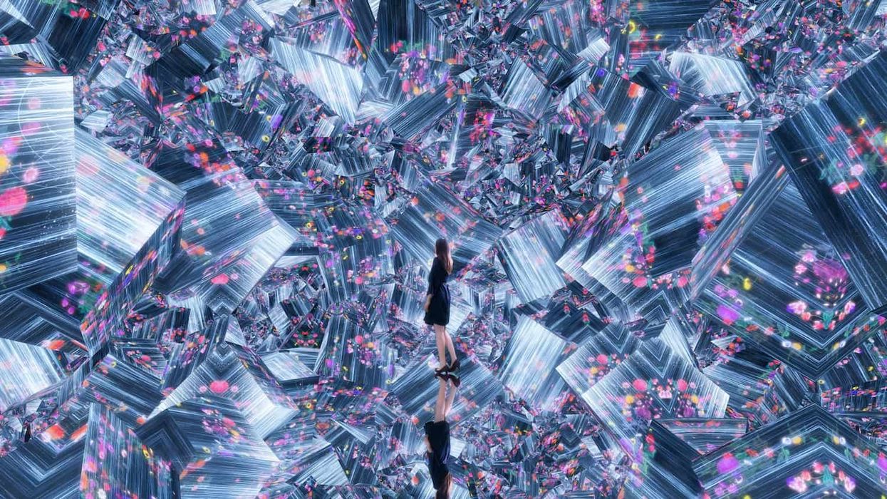 teamlab borderless tokyo