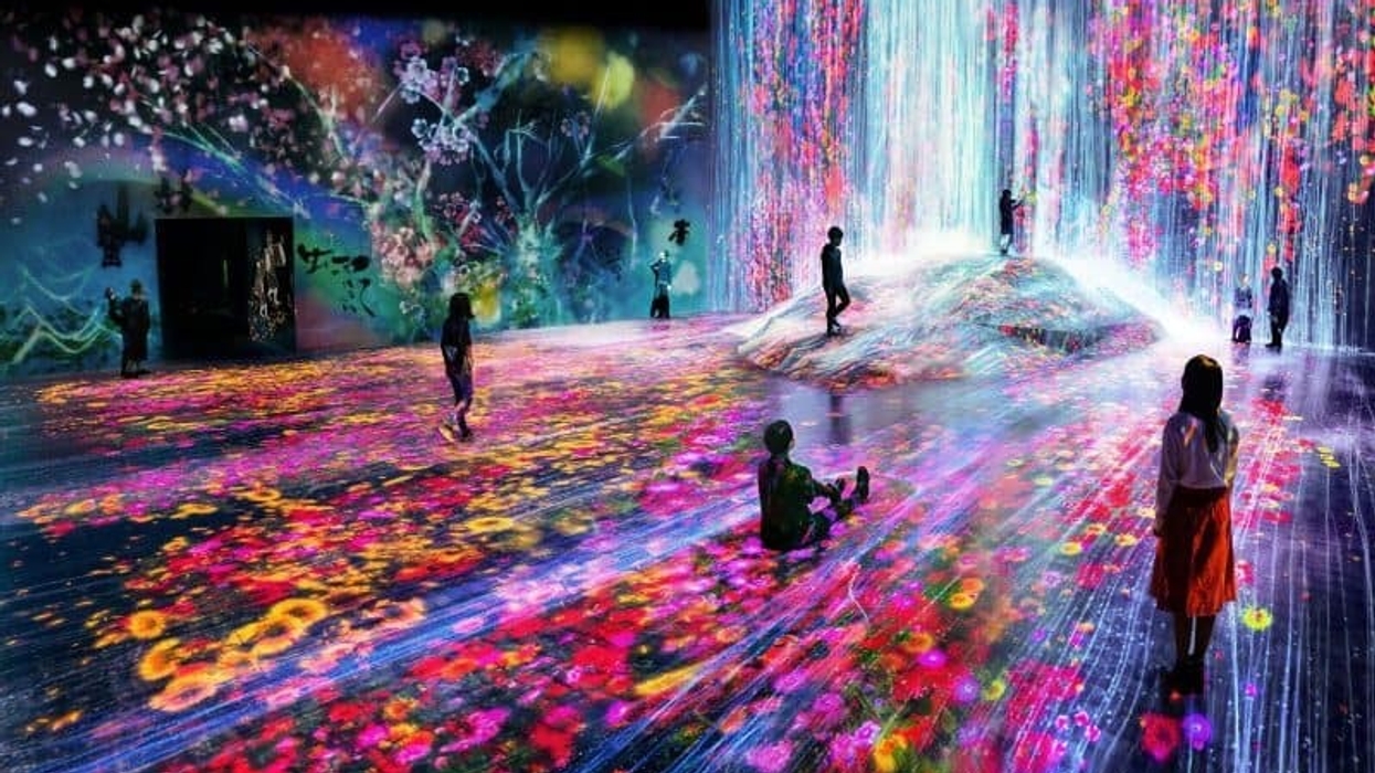 teamlab borderless tokyo