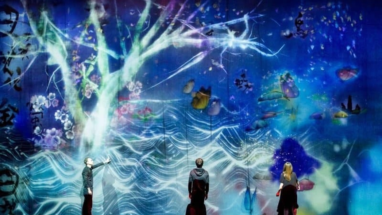 teamlab borderless tokyo