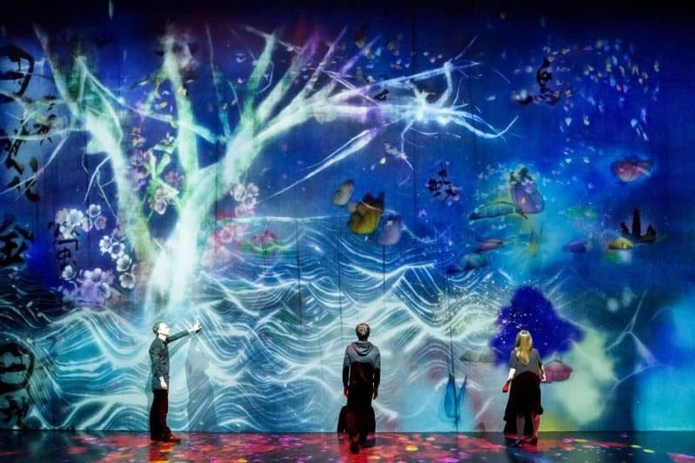 teamlab borderless tokyo