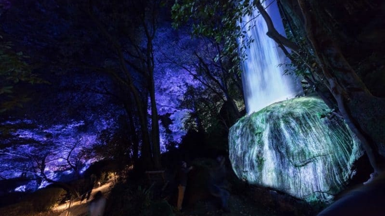 teamlab forest
