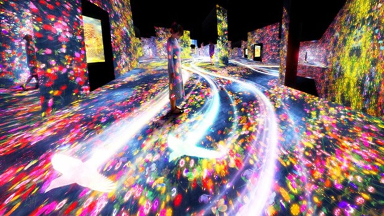 Teamlab. Mori building. Digital art museum. borderless.