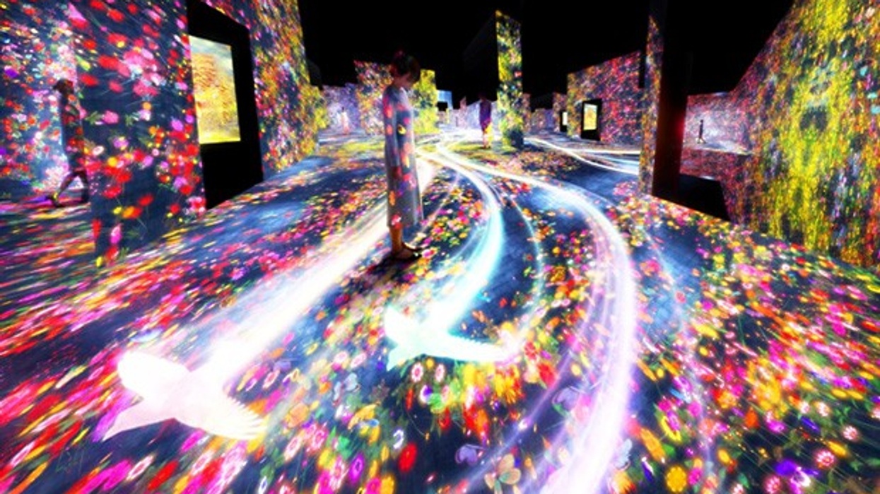 Teamlab. Mori building. Digital art museum. borderless.