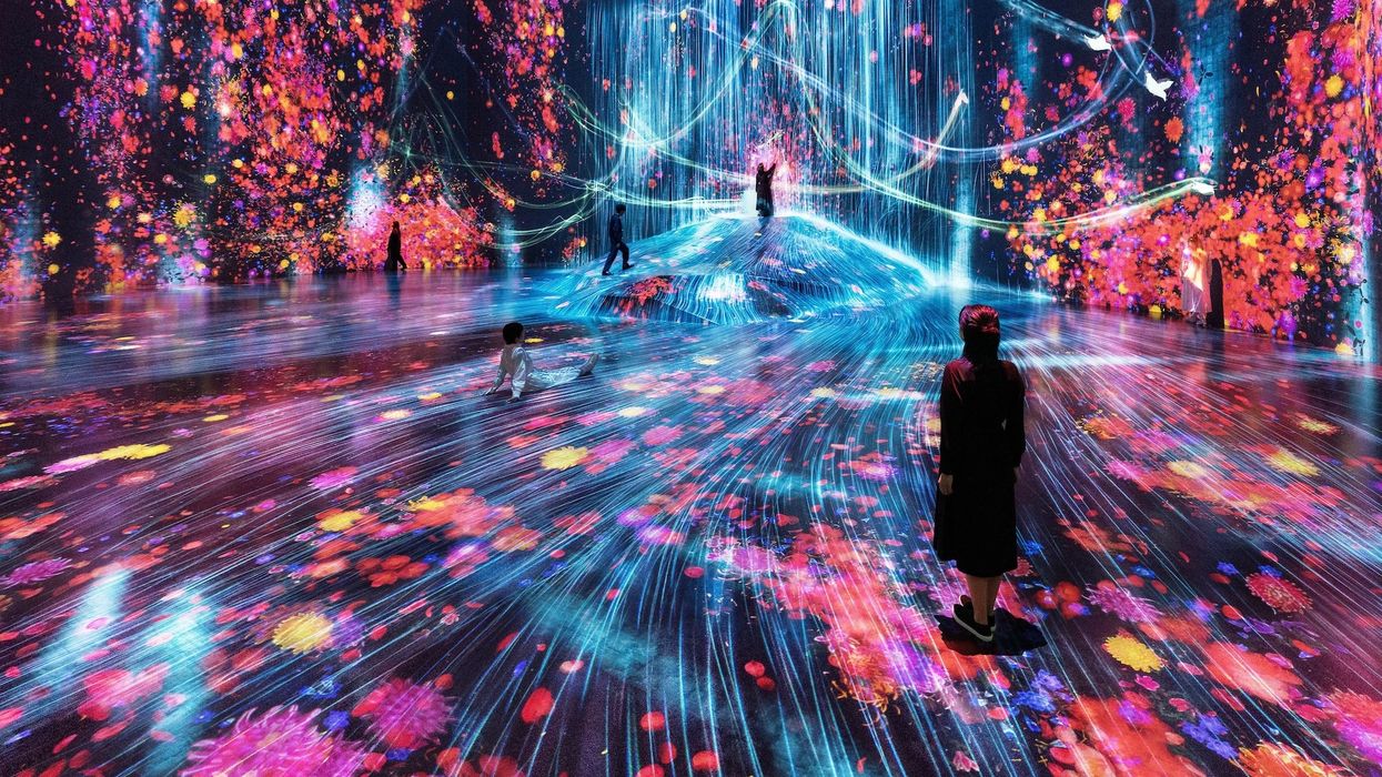 teamlab phenomena abu dhabi