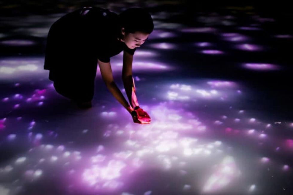 teamlab planets tokyo cherry blossom artwork