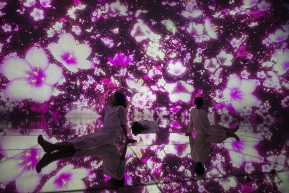 teamlab planets tokyo cherry blossom artwork