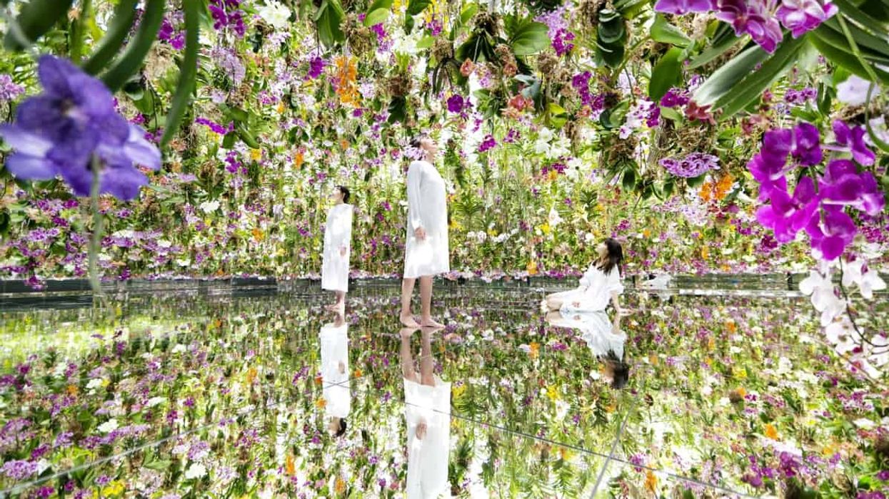 teamlab planets tokyo gardens