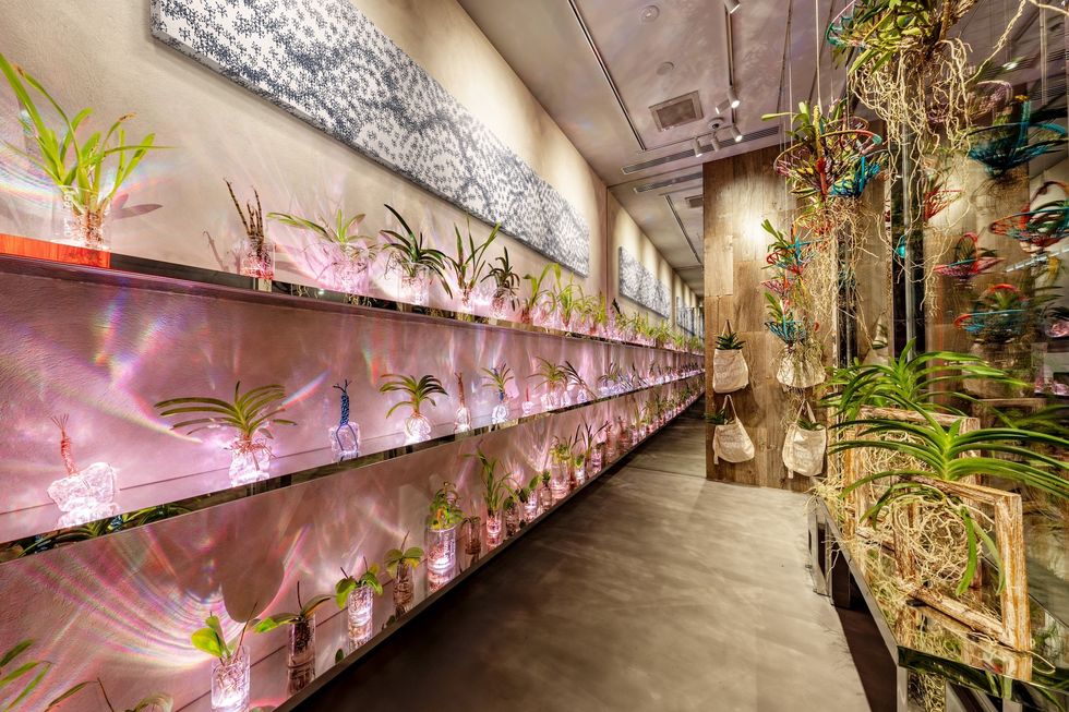 teamlab planets tokyo