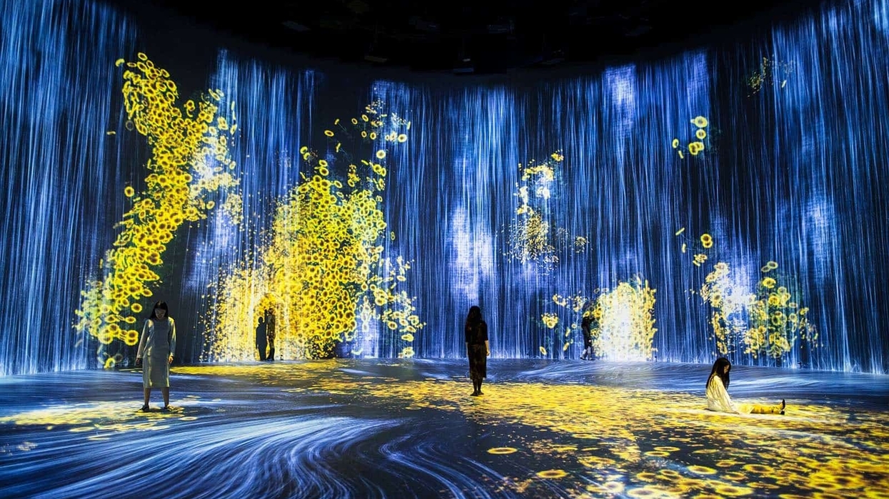 teamlab shanghai exhibit