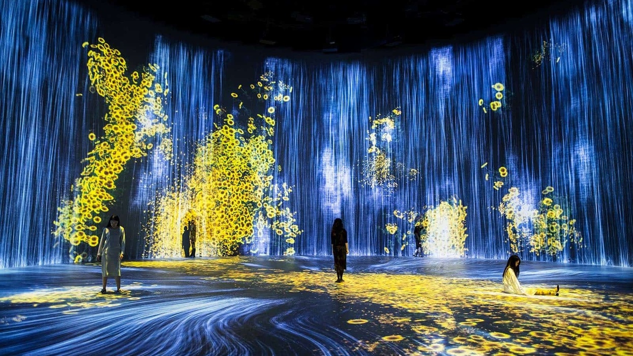 teamlab shanghai exhibit