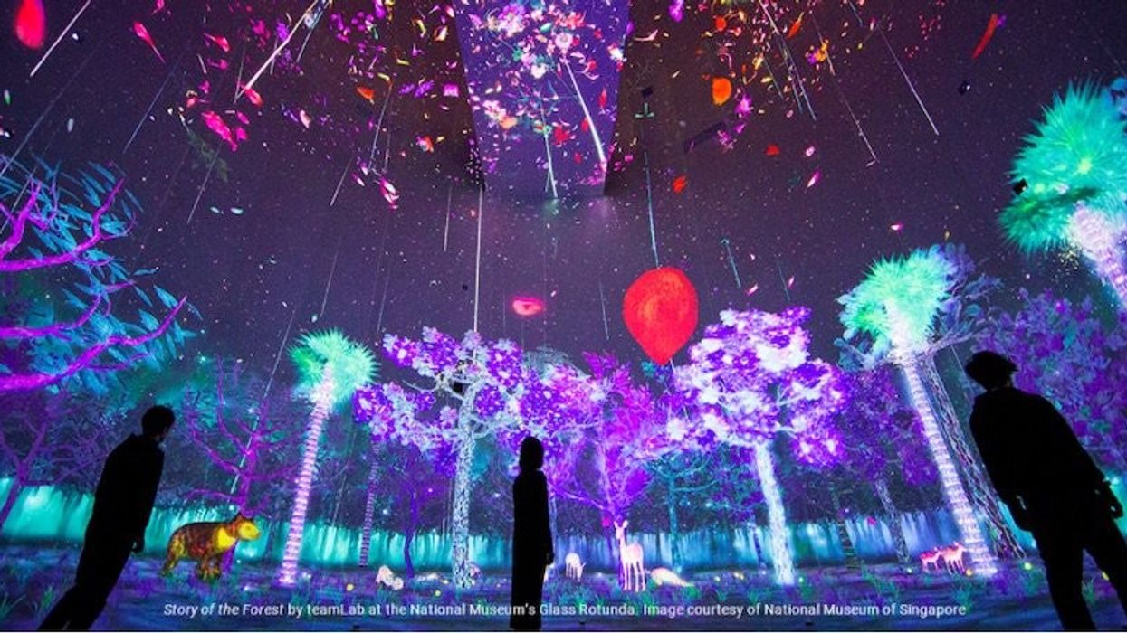 teamLab story of the forest Panasonic