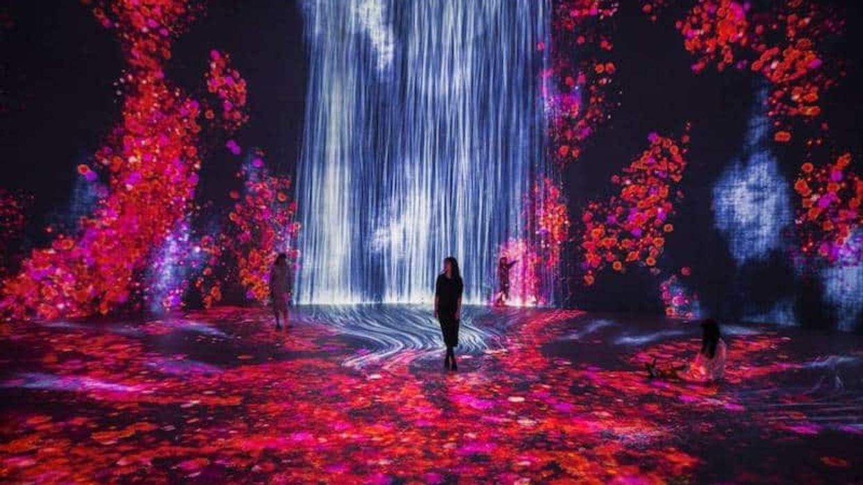 teamlab tank shanghai