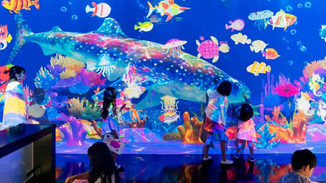 teamlab virtual aquarium