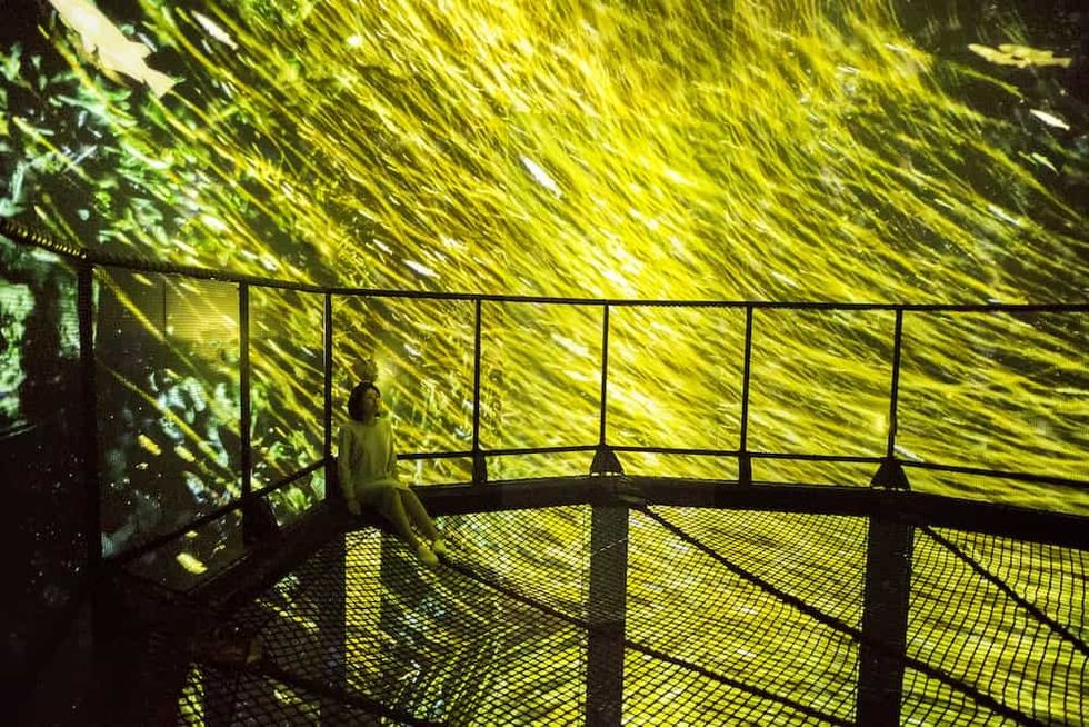 teamLab