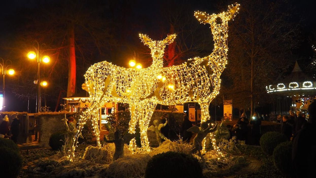 Tema Design by MK Illumination