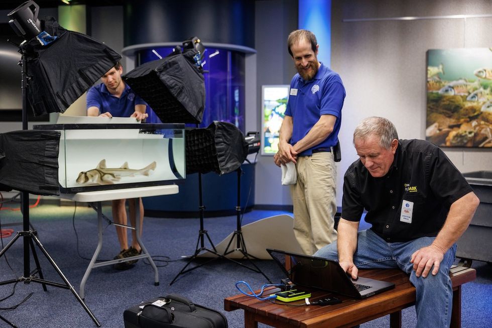 Tennessee Aquarium Animal Care Facility Lead Adam Johnson and Senior Aquarist Kyle McPheeters, from left, help photograph a Port Jackson Shark during a past visit to the Aquarium by National Geographic photographer Joel Sartore, right. (Credit: Doug Strickland/Tennessee Aquarium)
