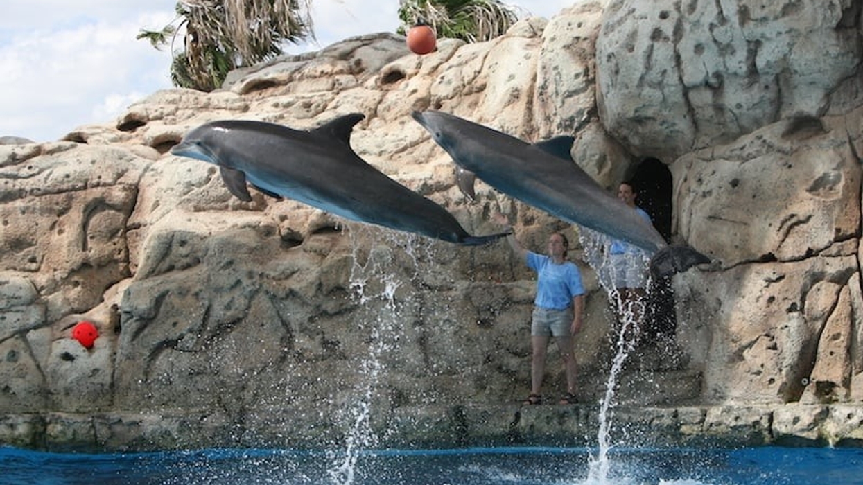 texas state aquarium