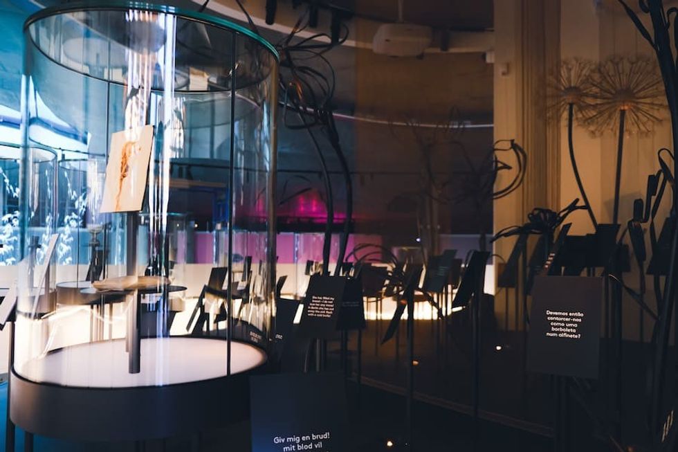 texts on display at Hans Christian Andersen Museum