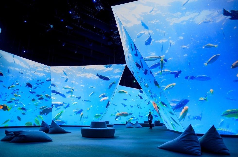 The BBC Earth Experience
