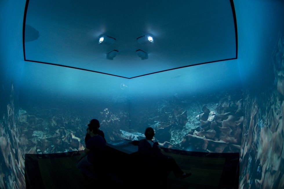 The Changing Ocean- Epson environmental immersion