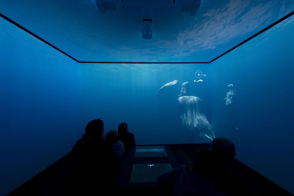 The Changing Ocean - EPSON