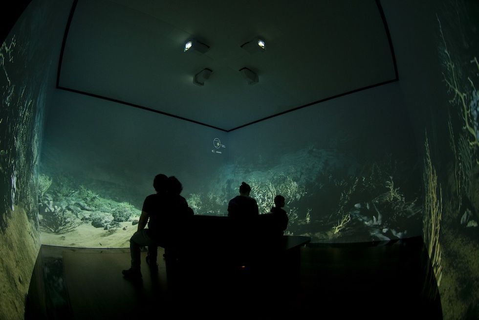 The Changing Ocean- EPSON