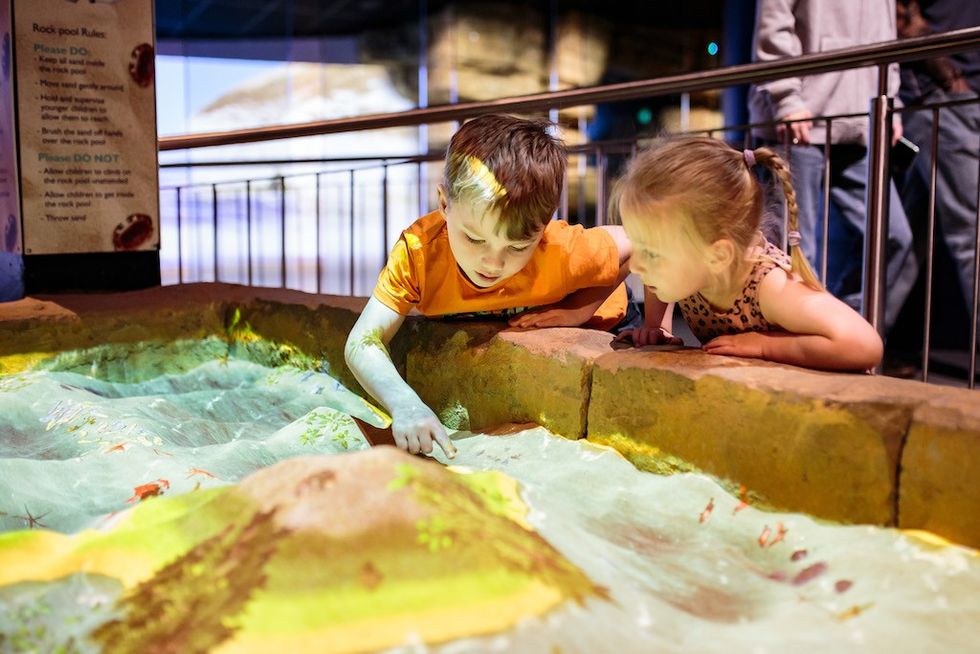 The Deep Cool Seas Model