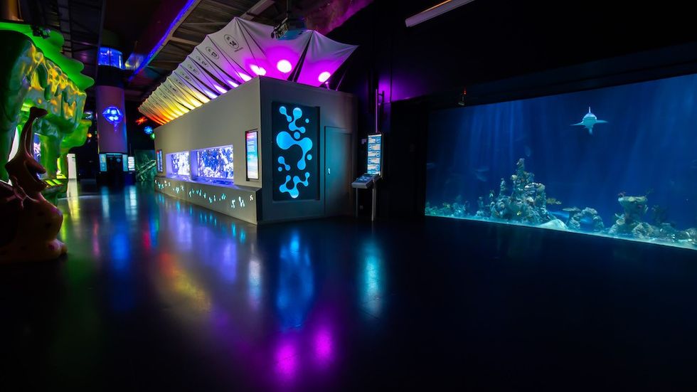 The Deep Endless Oceans Gallery