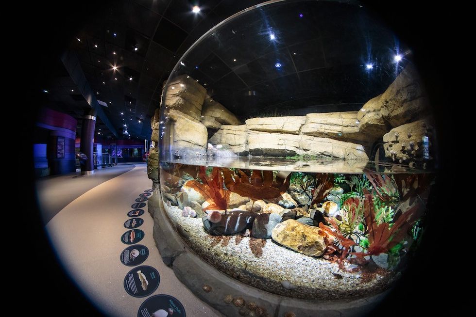 The Deep Rockpool