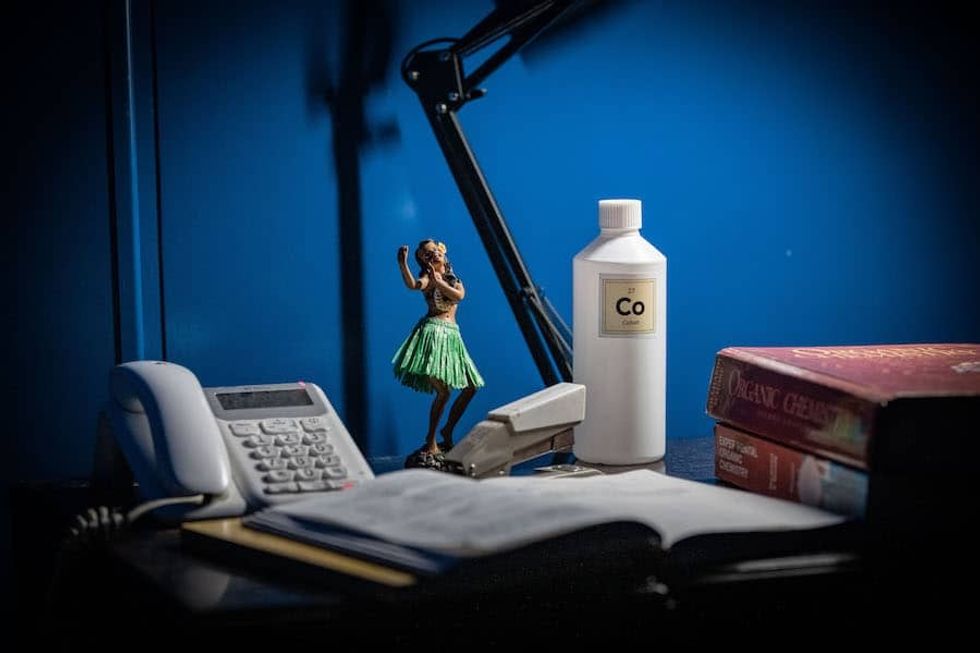 The Drop Swamp Motel