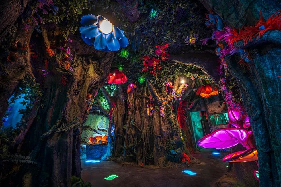 The Elder Forest at Boomtown's new permanent experience