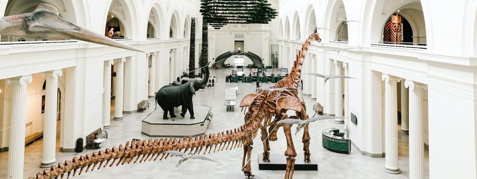 The Field Museum is providing online education during the coronavirus crisis