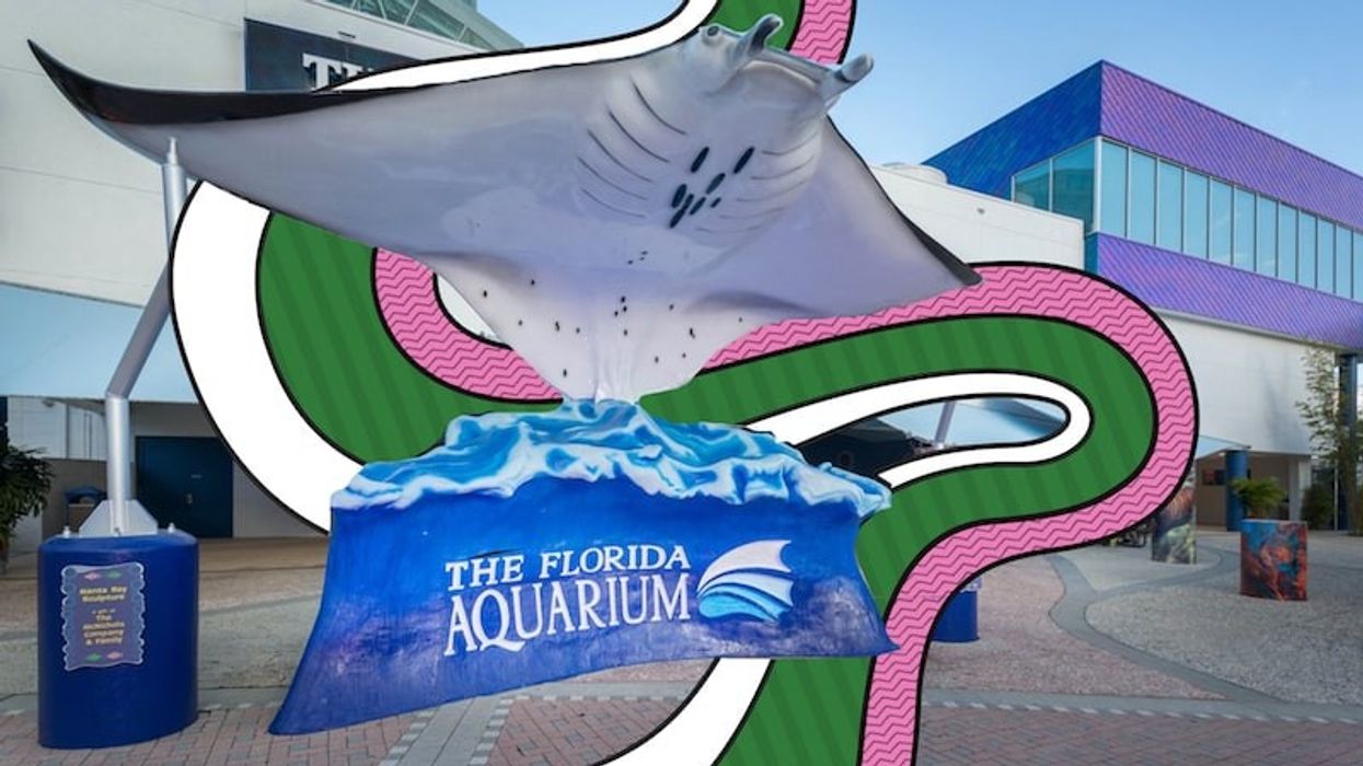 the florida aquarium
