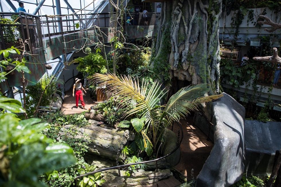 The Green Planet Dubai