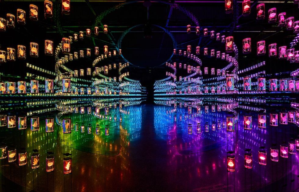 The Heal Institute Museum of the Future