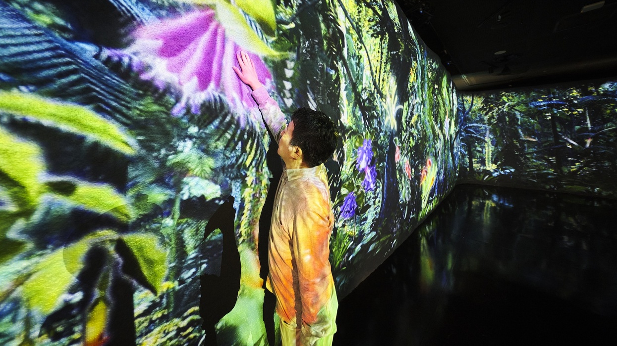 The Hidden Forest Gardens by the Bay